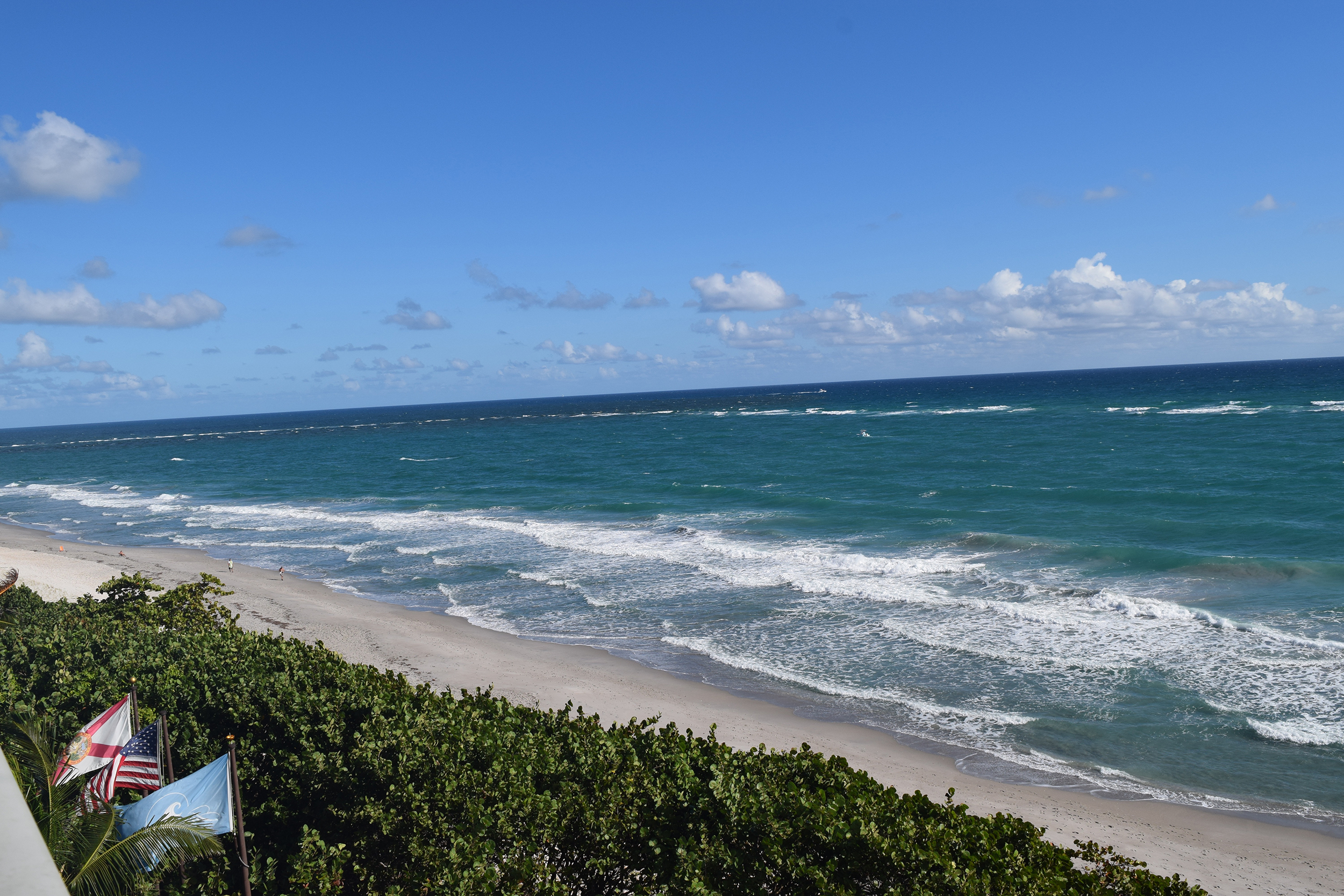 8 Reasons to Drop Everything and Head to Jupiter | Bianca Dottin