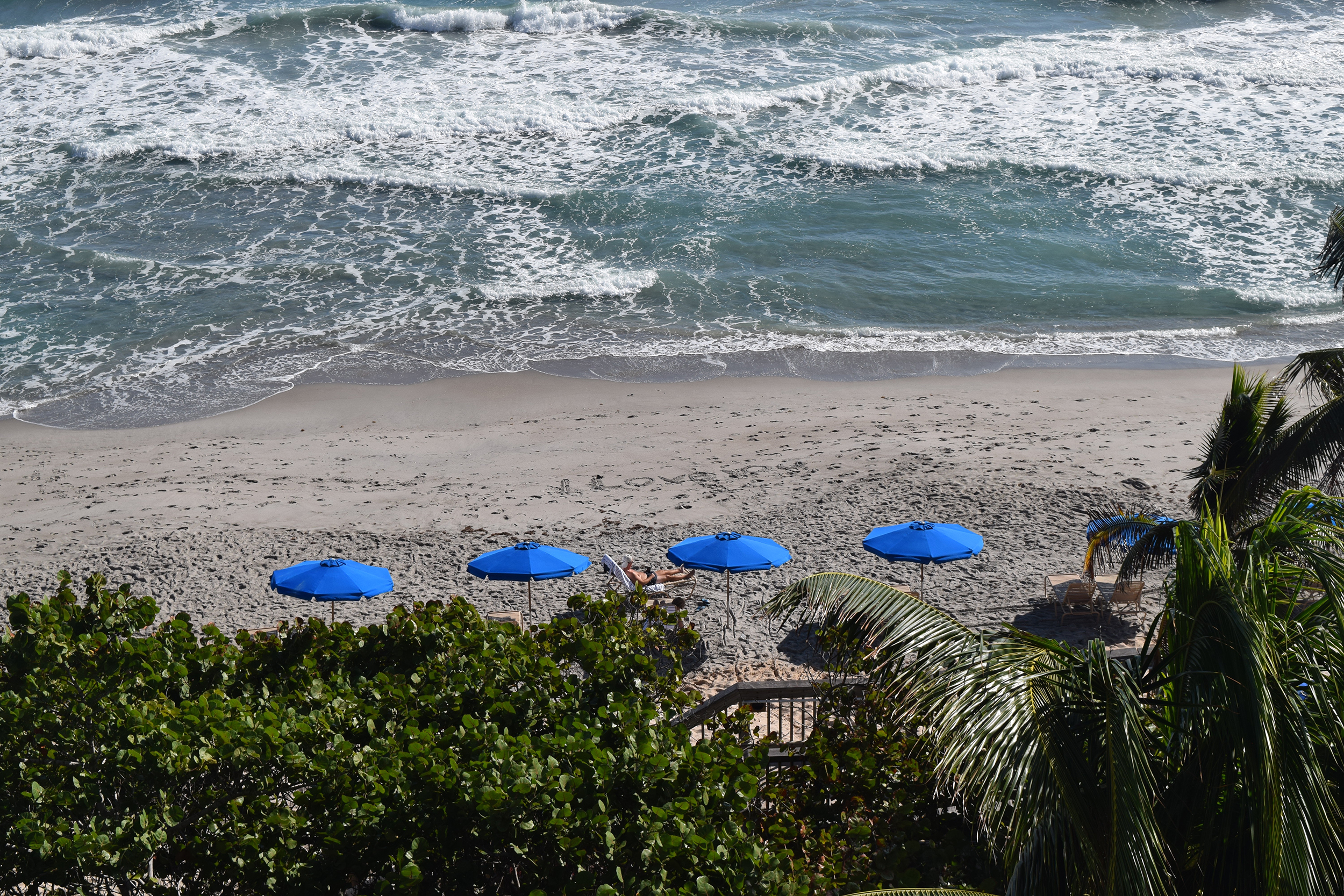 8 Reasons to Drop Everything and Head to Jupiter | Bianca Dottin