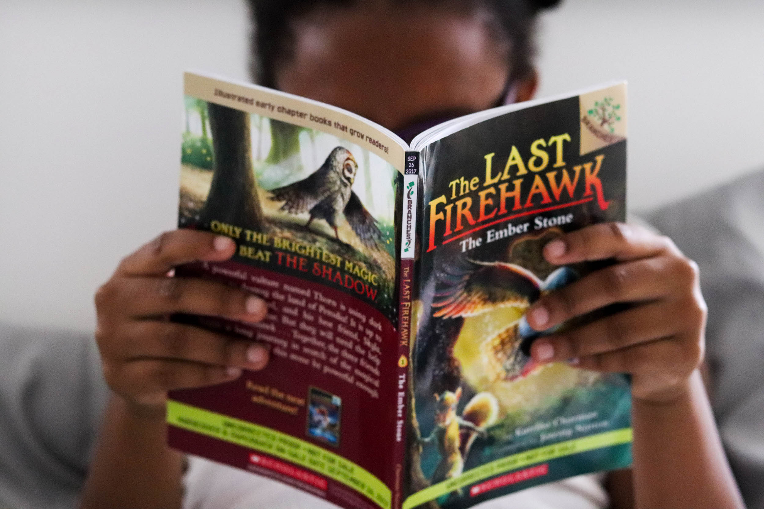 Scholastic Branches Series for Early Readers | Bianca Dottin
